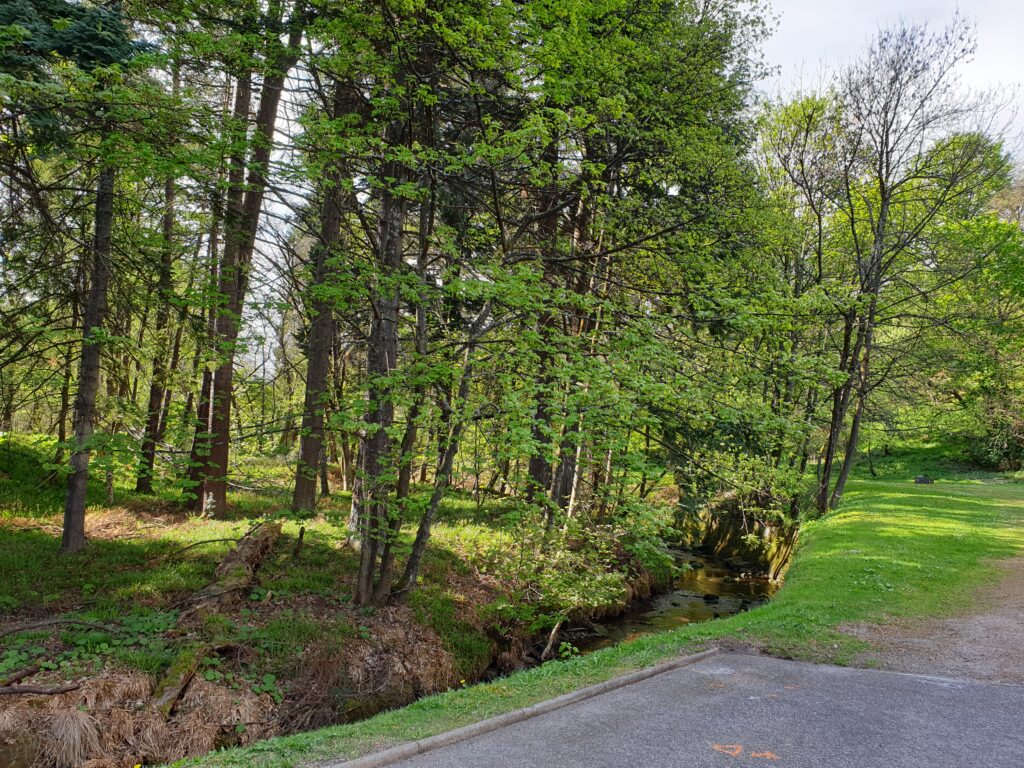 The Lour Burn flowing next to the Aberlour distillery.