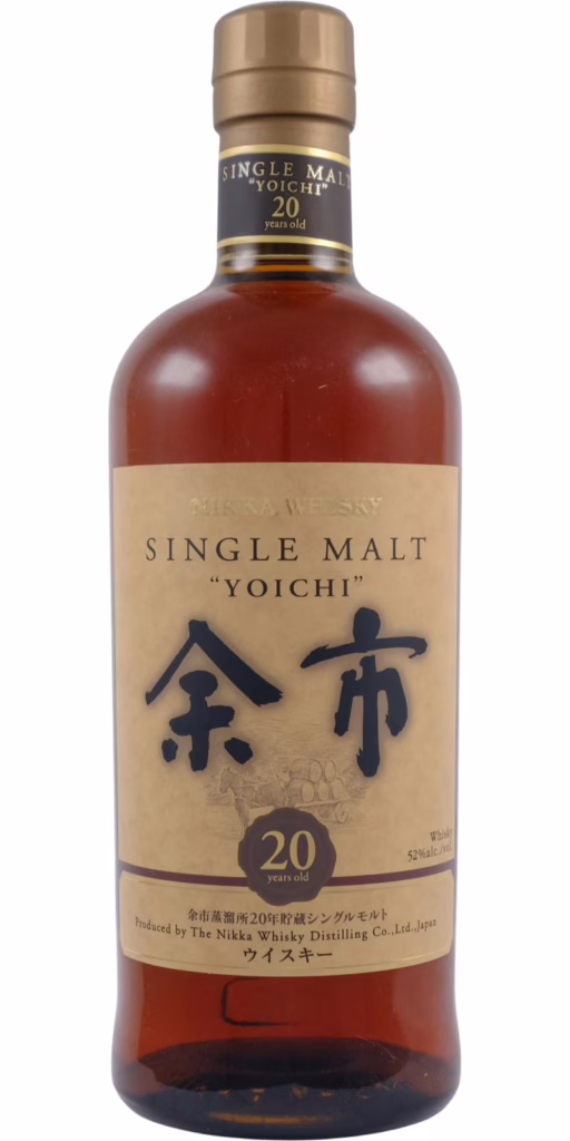 Yoichi 20-Year-Old (2012)