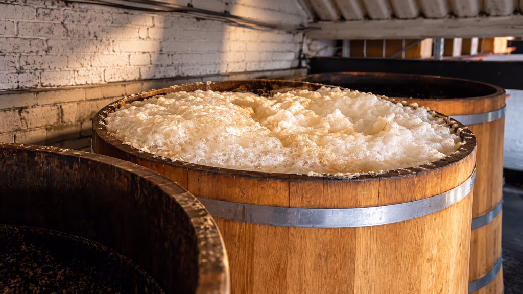 Fermentation
