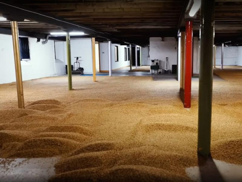 Springbank malting floors